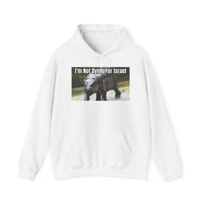 Moo Deng Hoodie