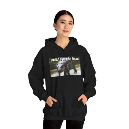 Moo Deng Hoodie